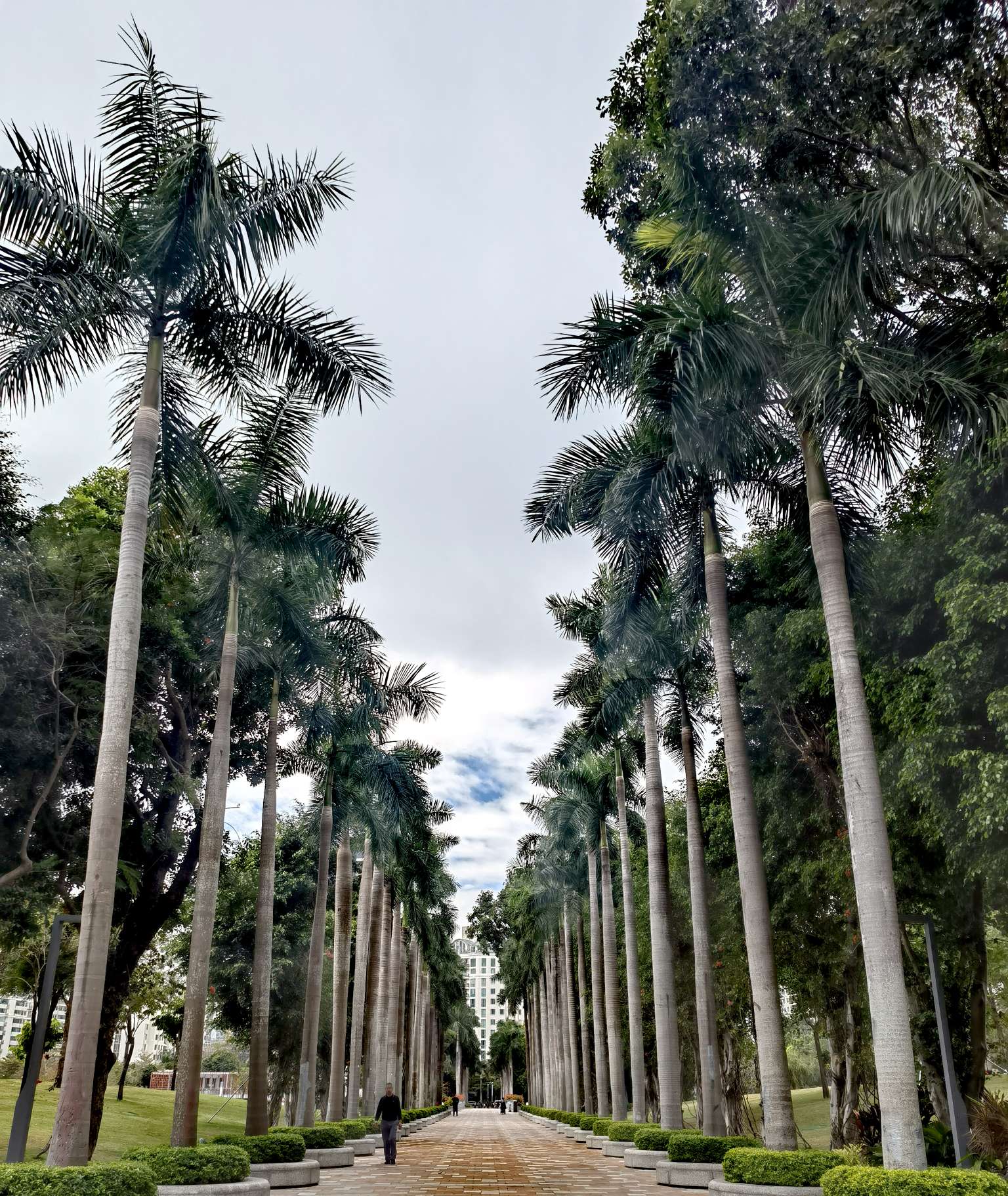 找旅游搭子