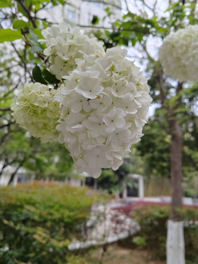 找散步搭子