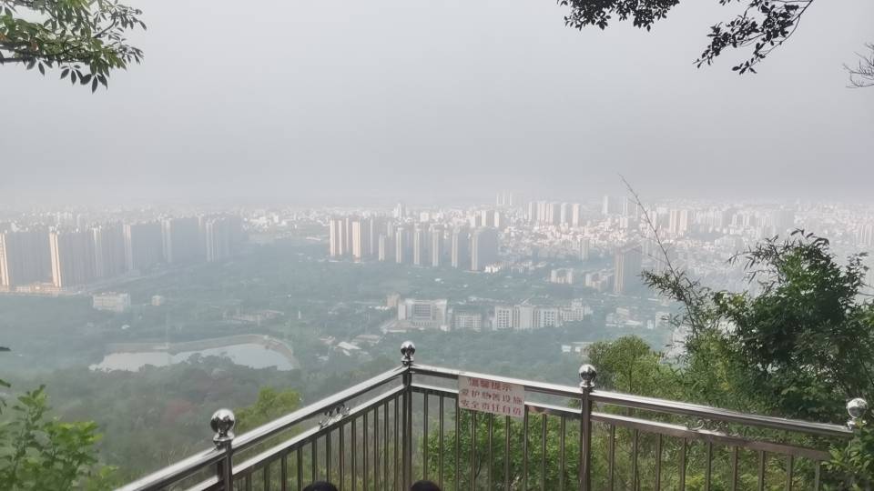 找散步搭子