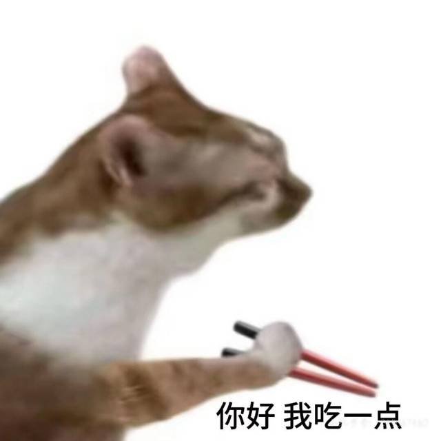 找饭搭子