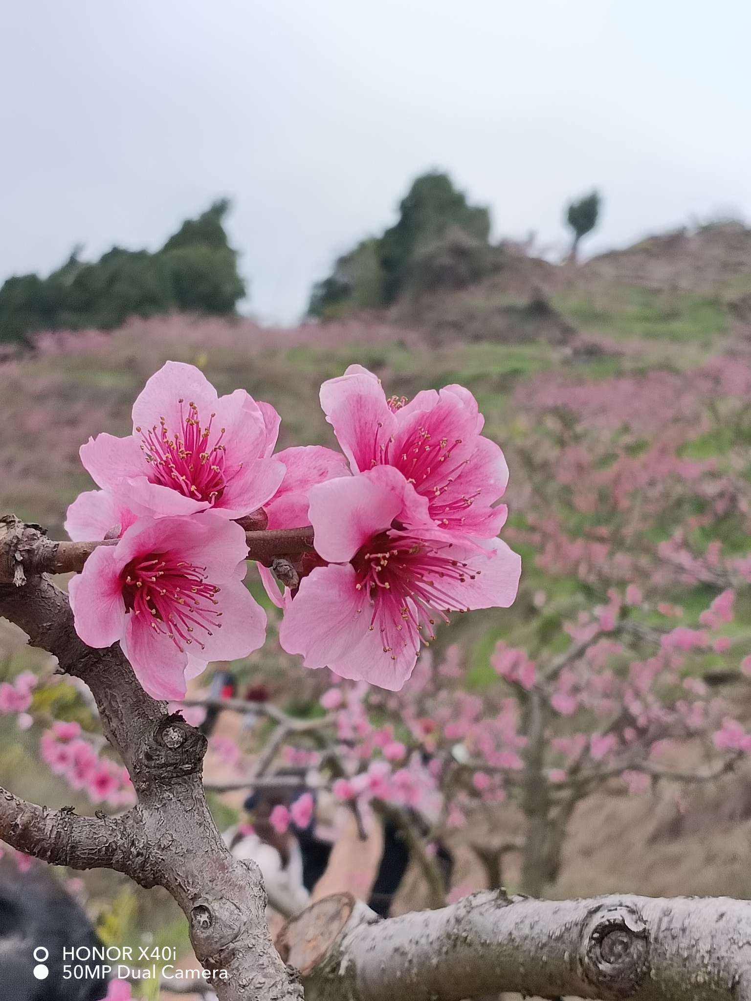 找聊天搭子