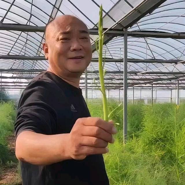 找聊天搭子
