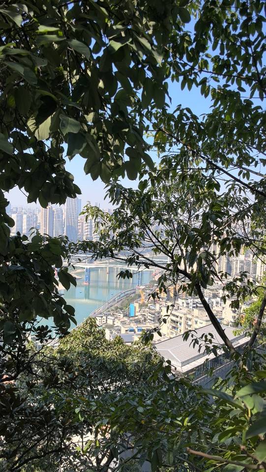 找聊天搭子