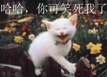 找运动搭子