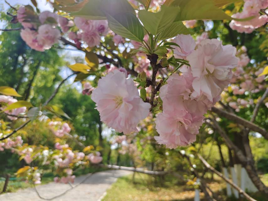 找运动搭子