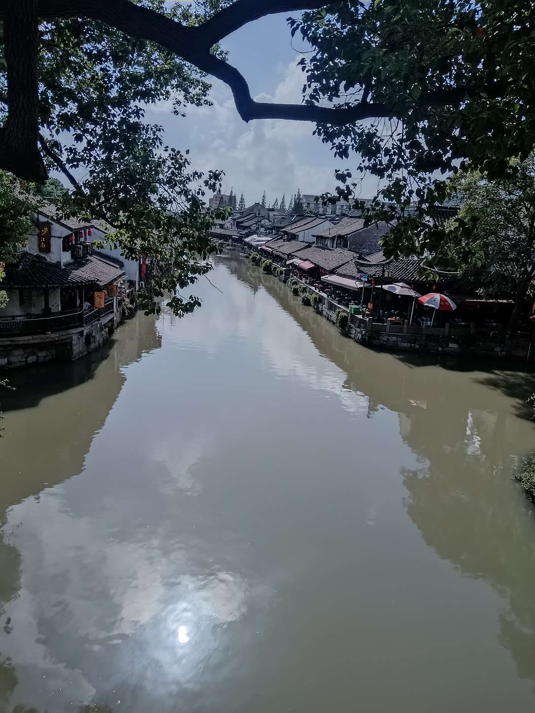 找旅游搭子