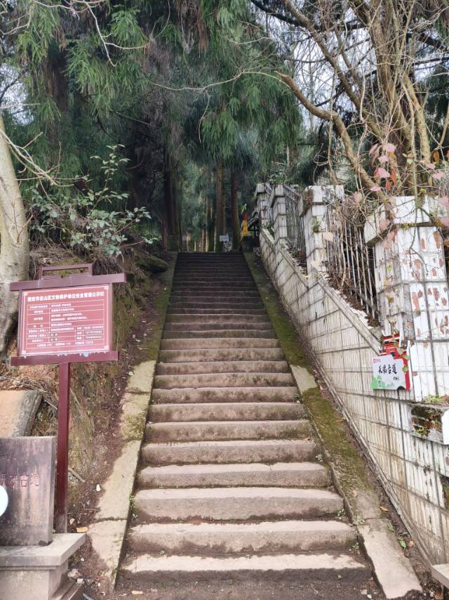 找运动搭子
