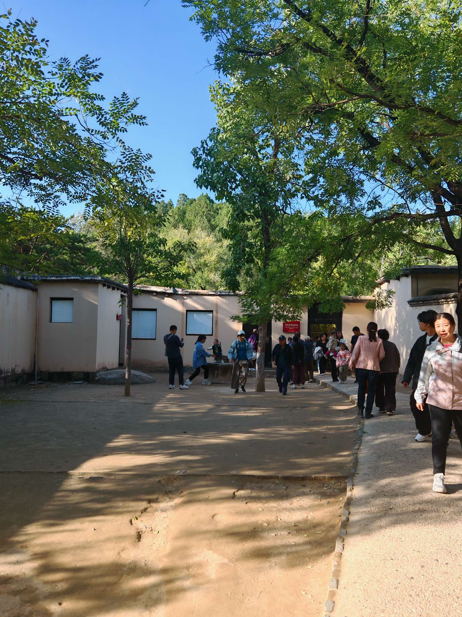 找旅游搭子