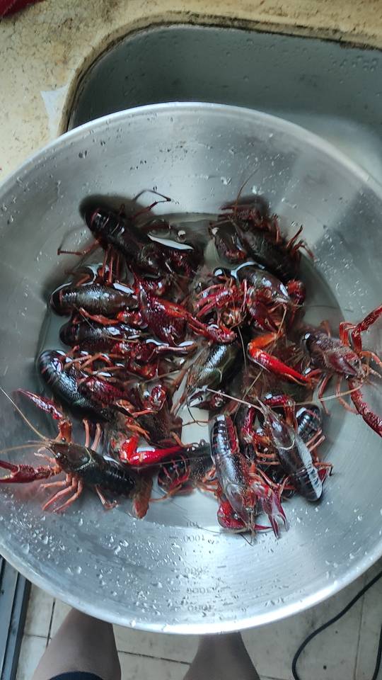 找运动搭子