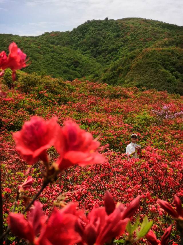 找衡山爬山搭子