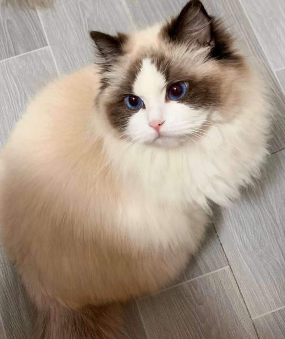 找都可以搭子
