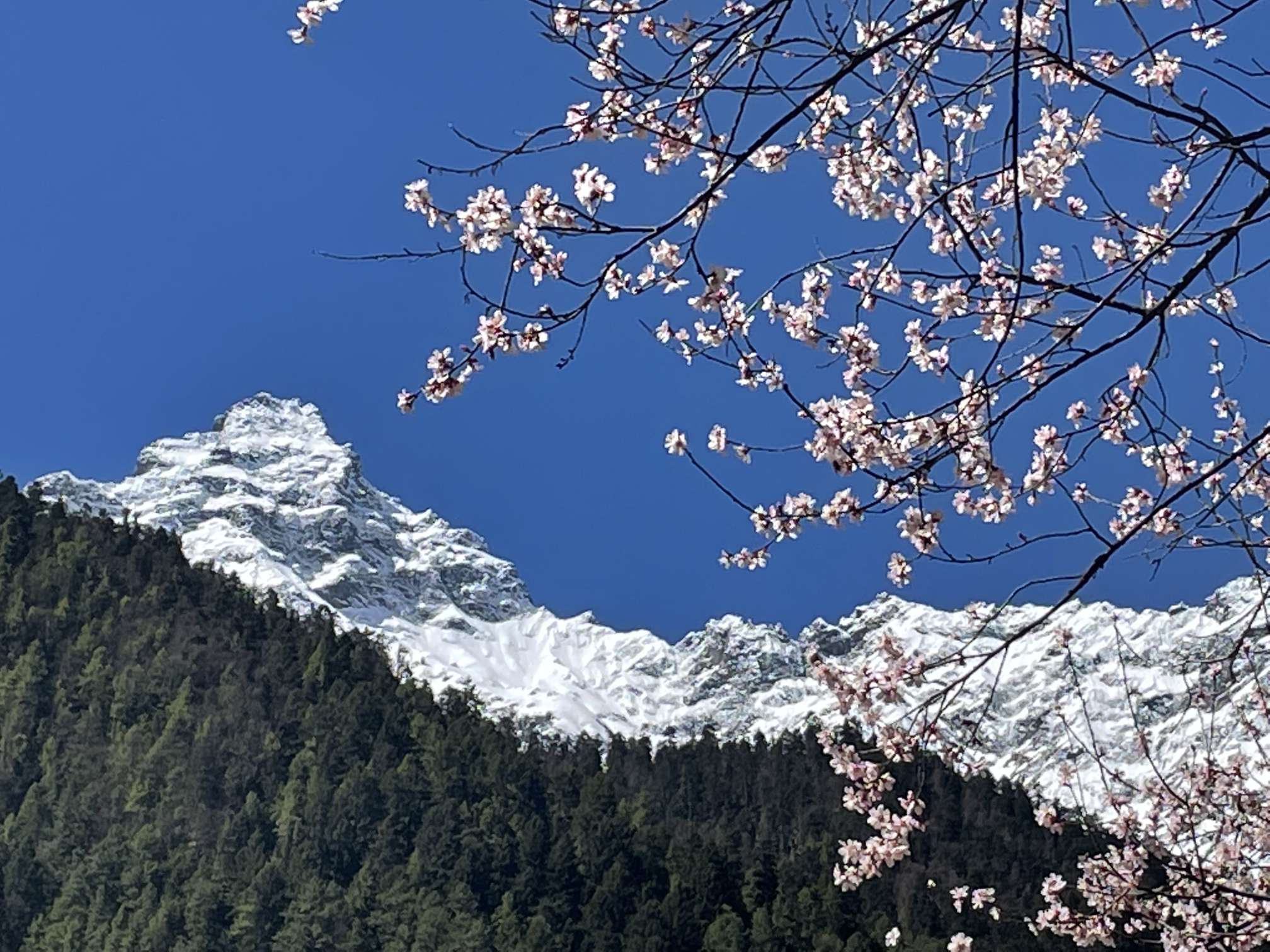 找旅游搭子