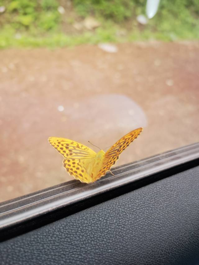 找旅游搭子