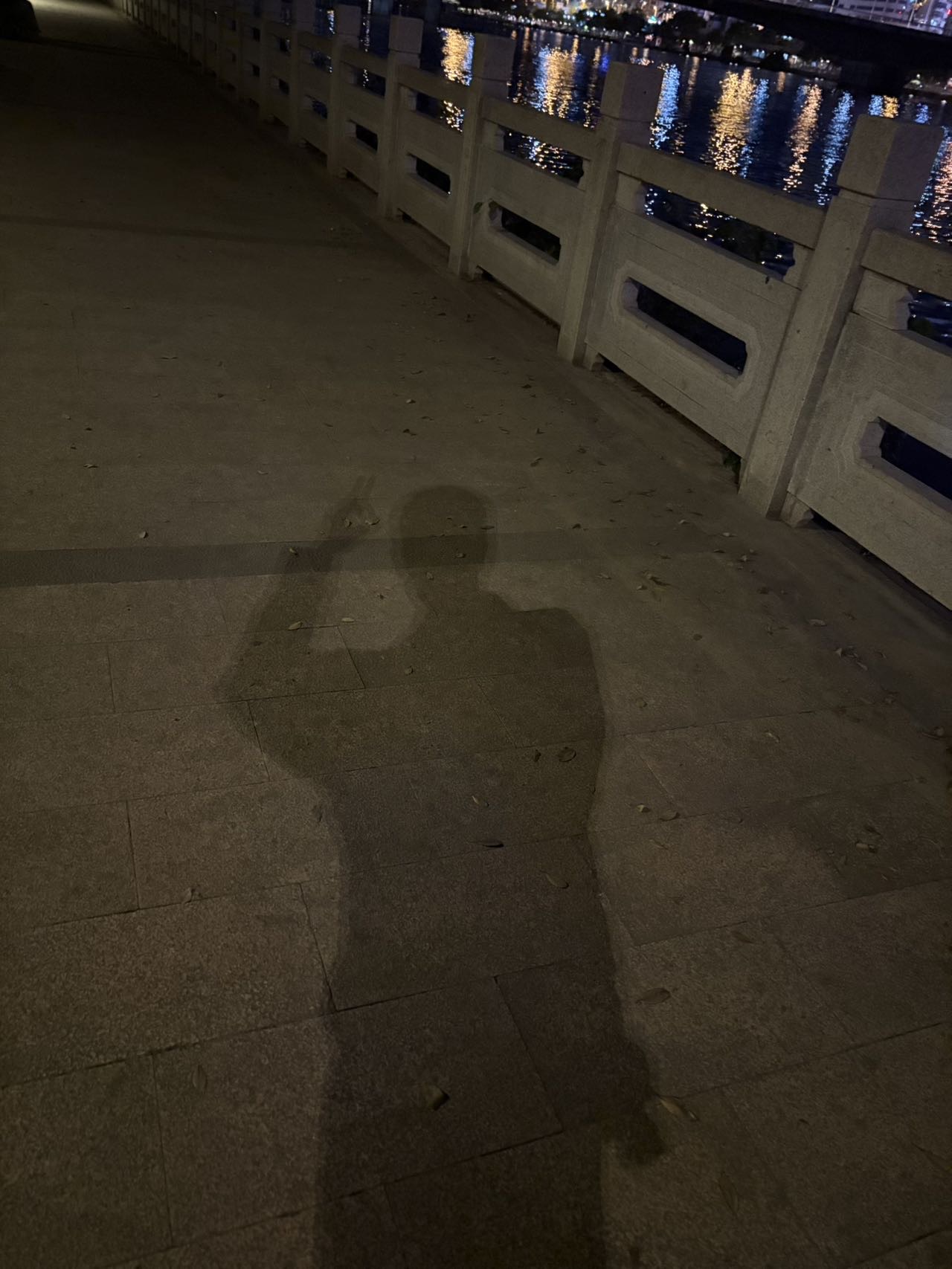 找省内短期旅游搭子