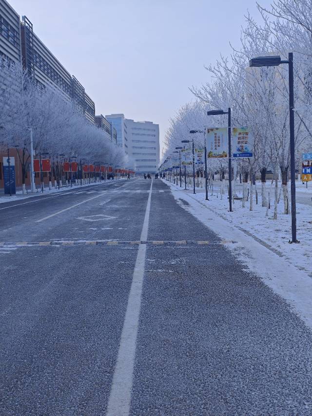 找图书馆学习搭子