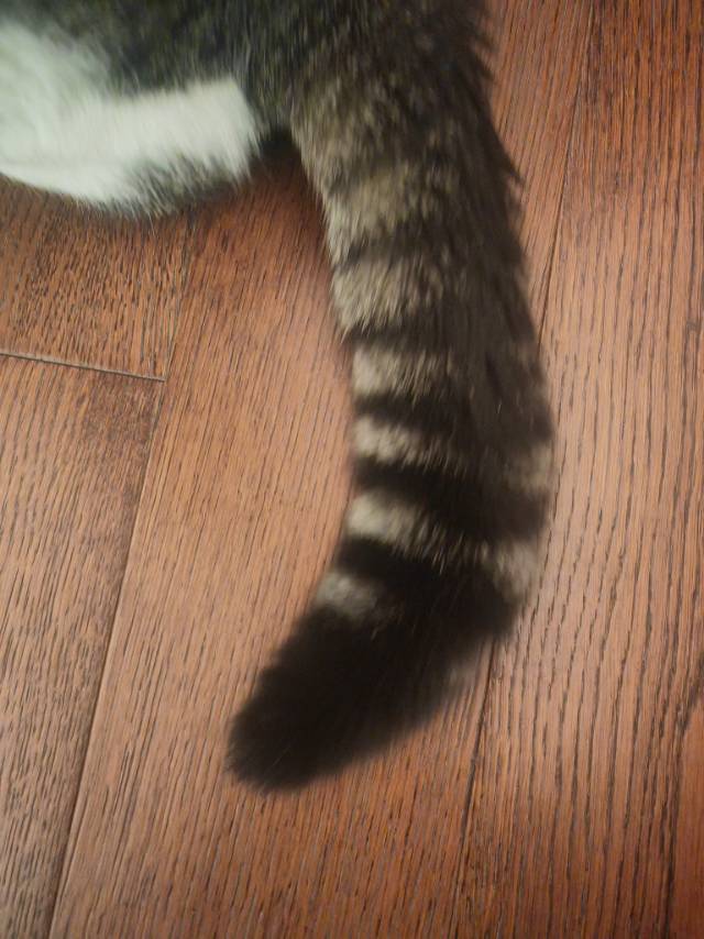 找吃饭搭子