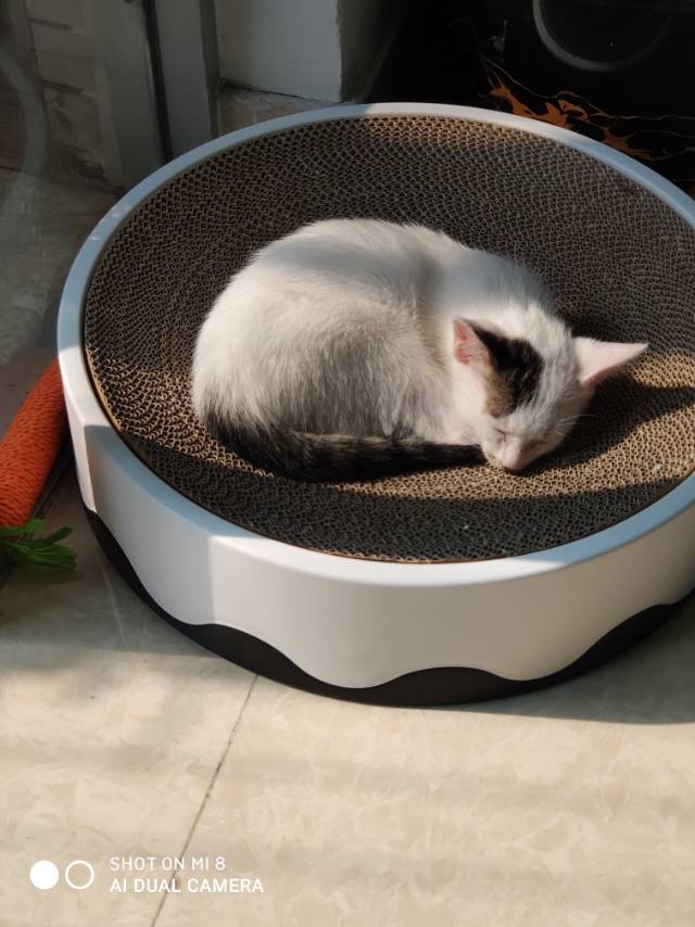 找旅游搭子
