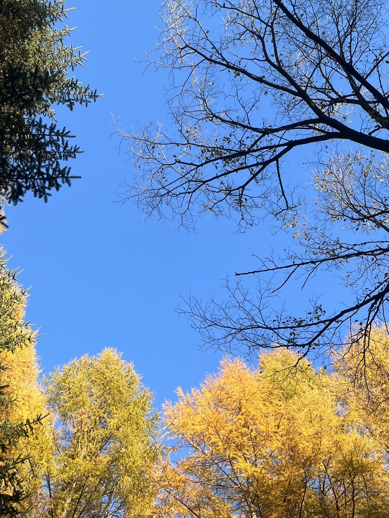 找旅游搭子