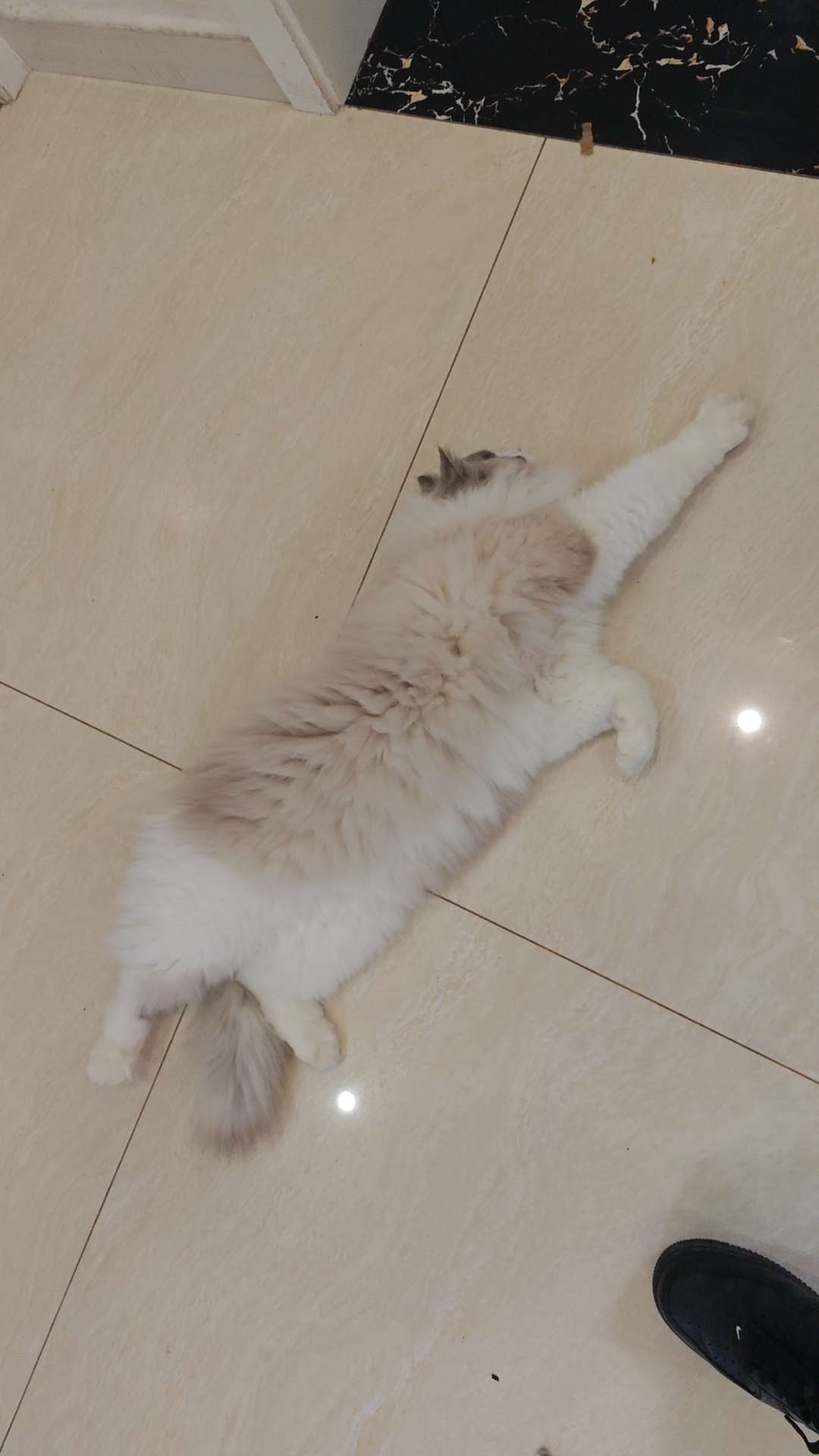 找减肥搭子