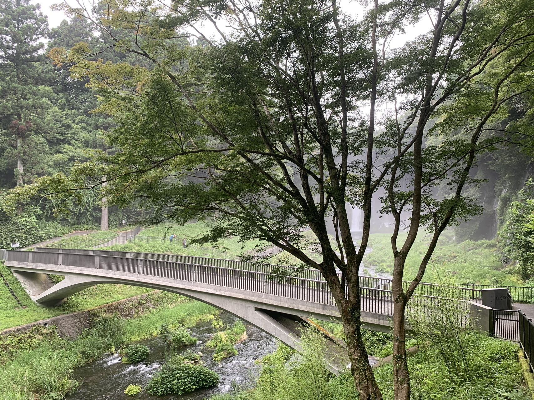 找旅游搭子