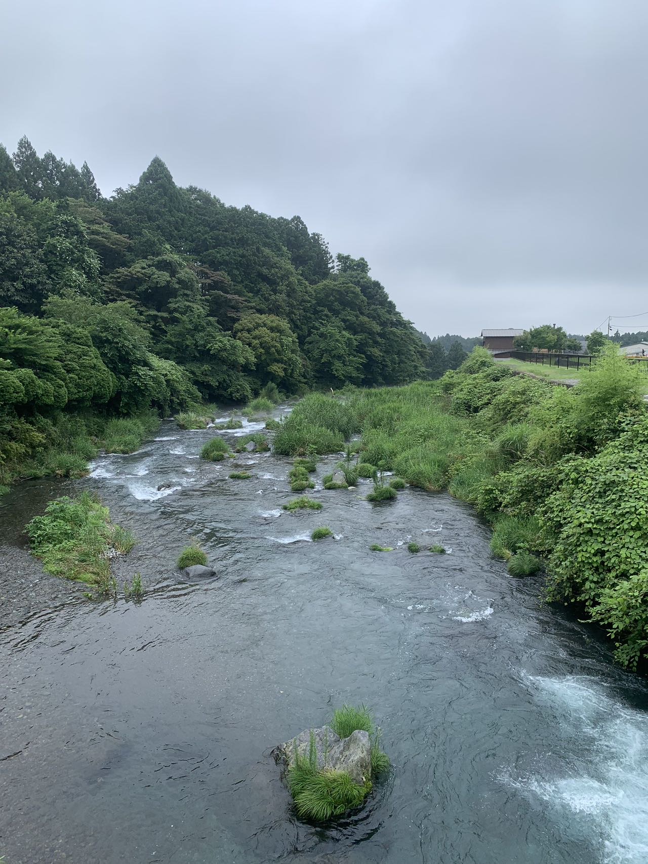找旅游搭子