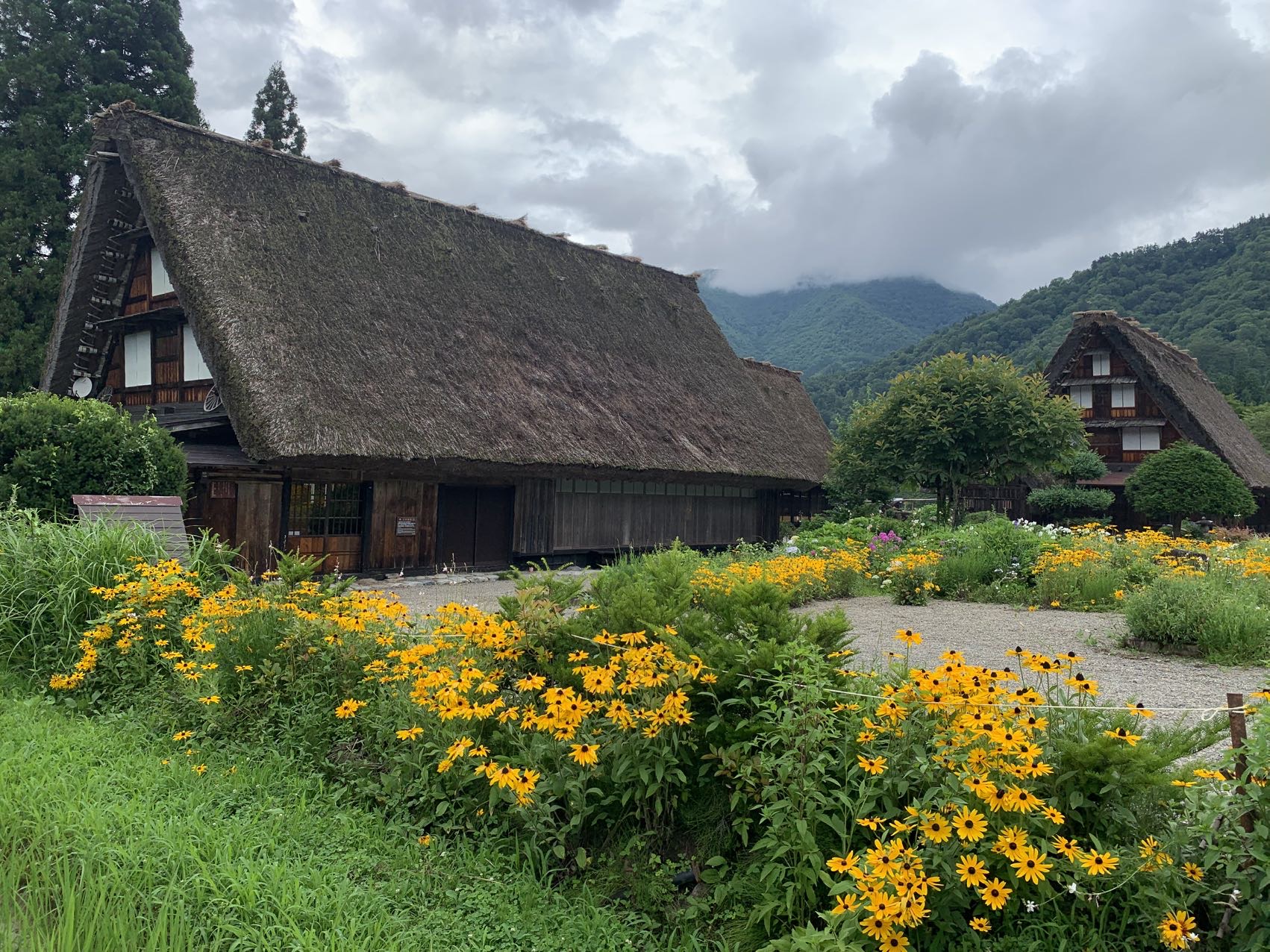 找旅游搭子