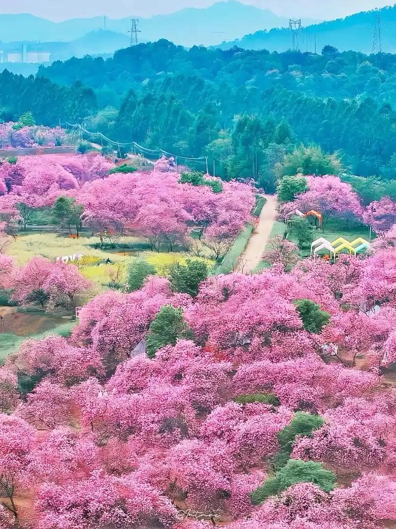 找旅游运动搭子