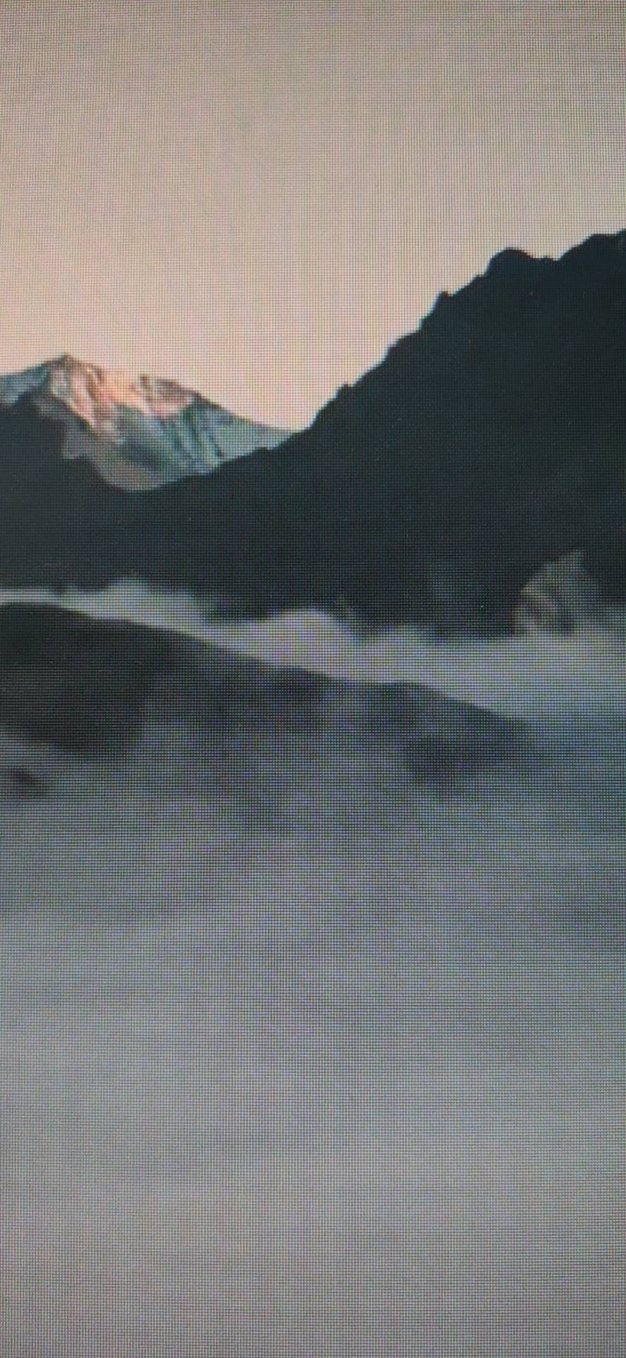 找旅游搭子