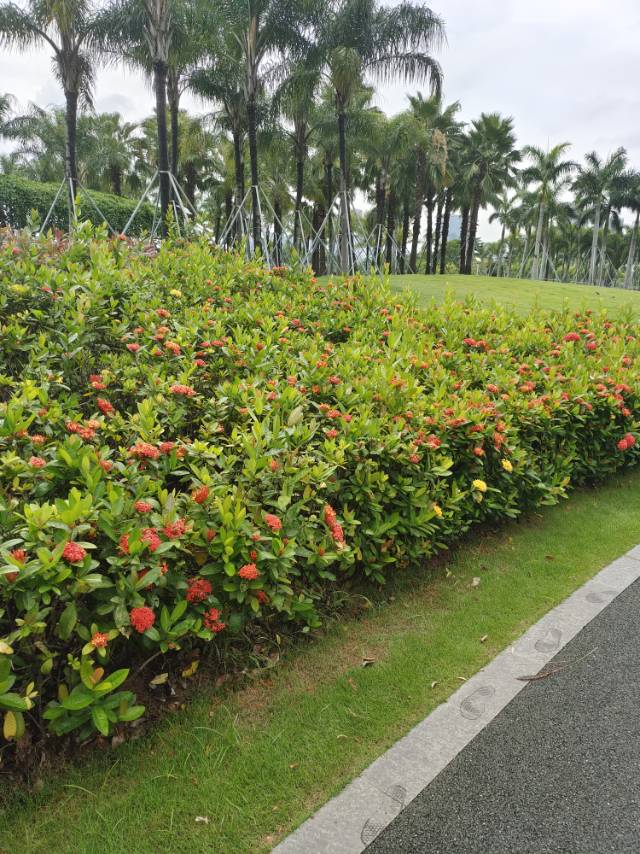 找南宁游玩搭子