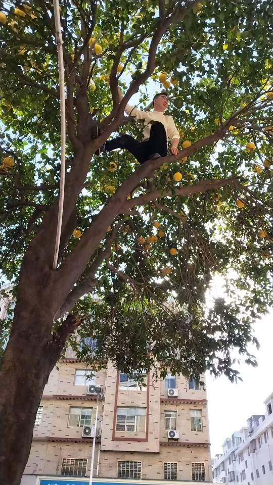 找搭子