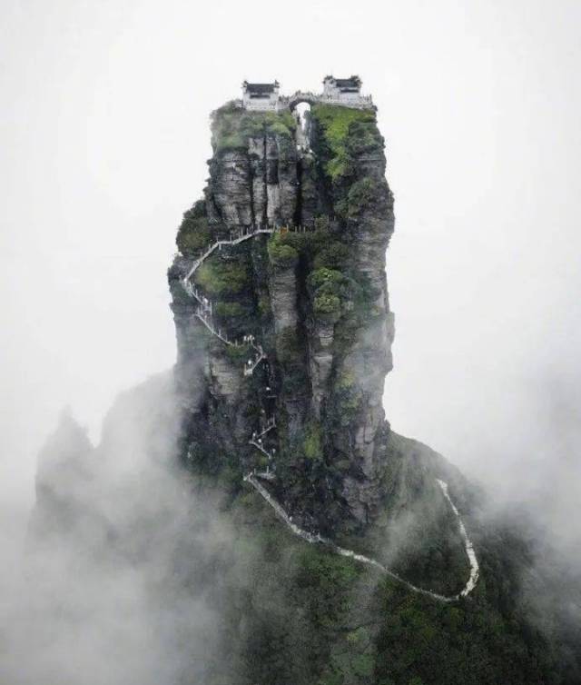 找搭子