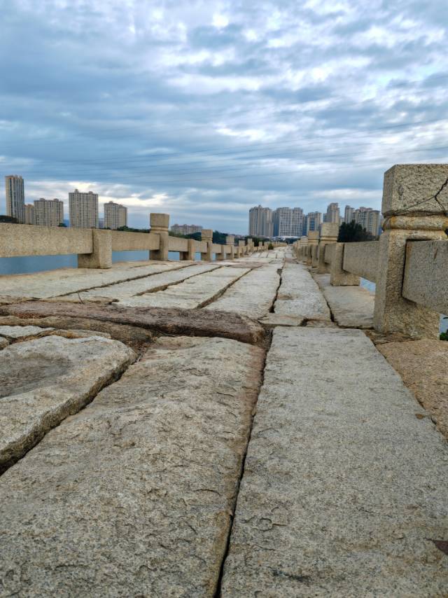 找搭子