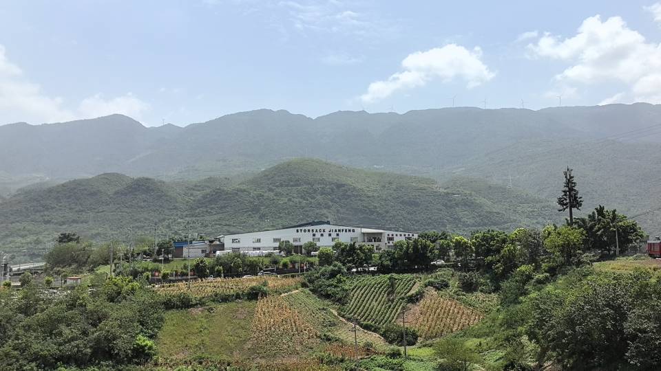 找搭子