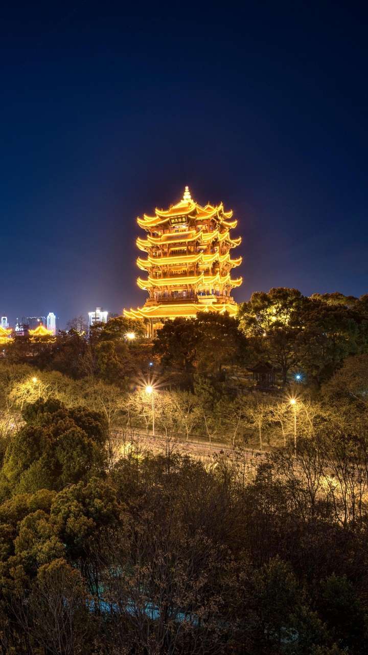 找搭子