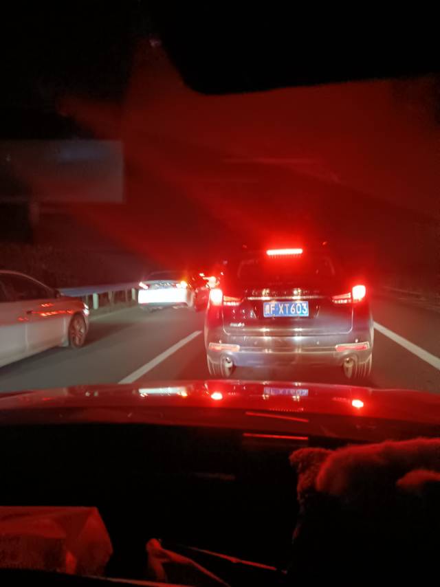 找搭子