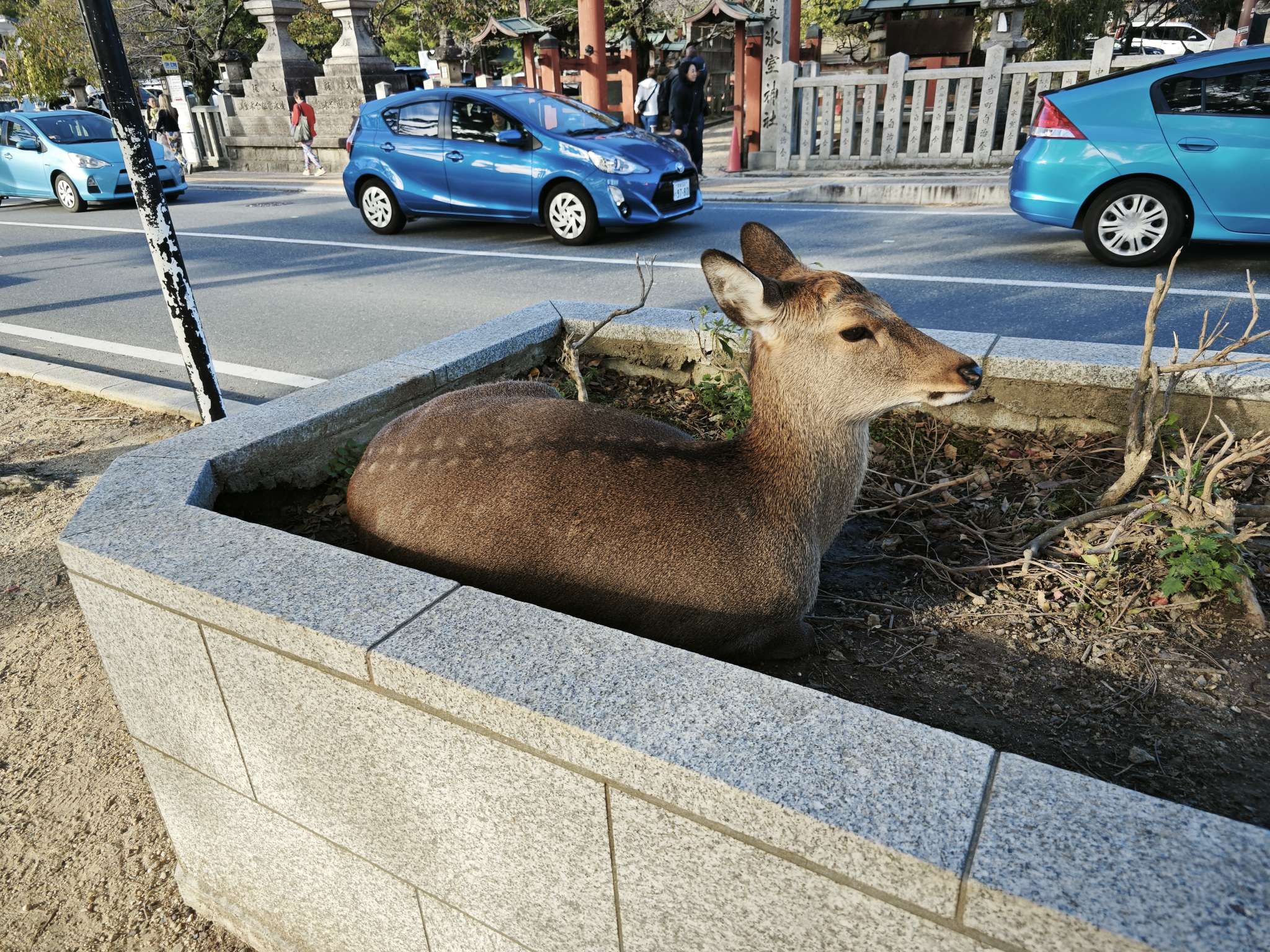 咕哇找搭子