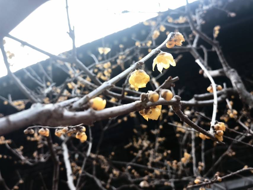 找搭子