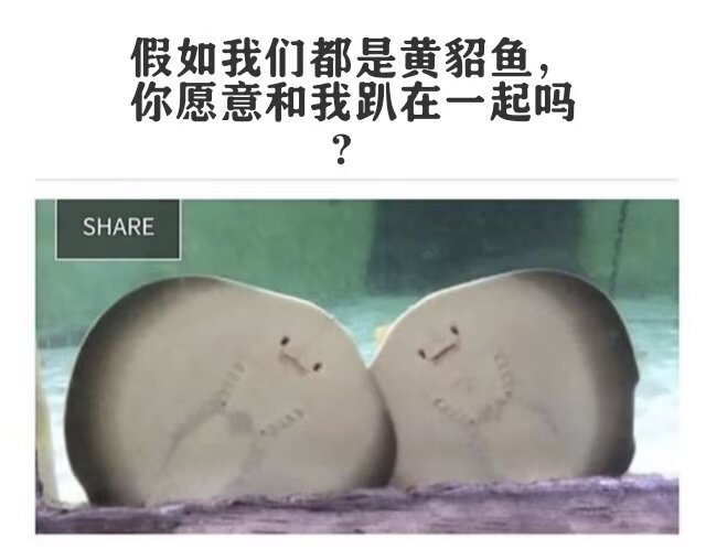 找搭子
