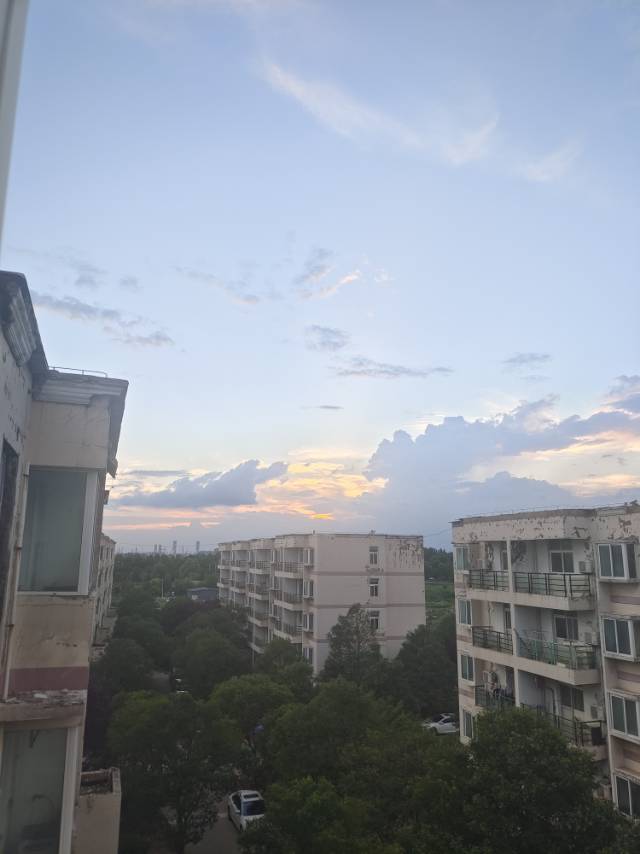 找搭子