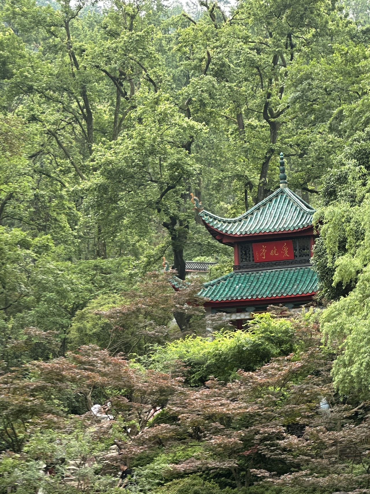 找搭子