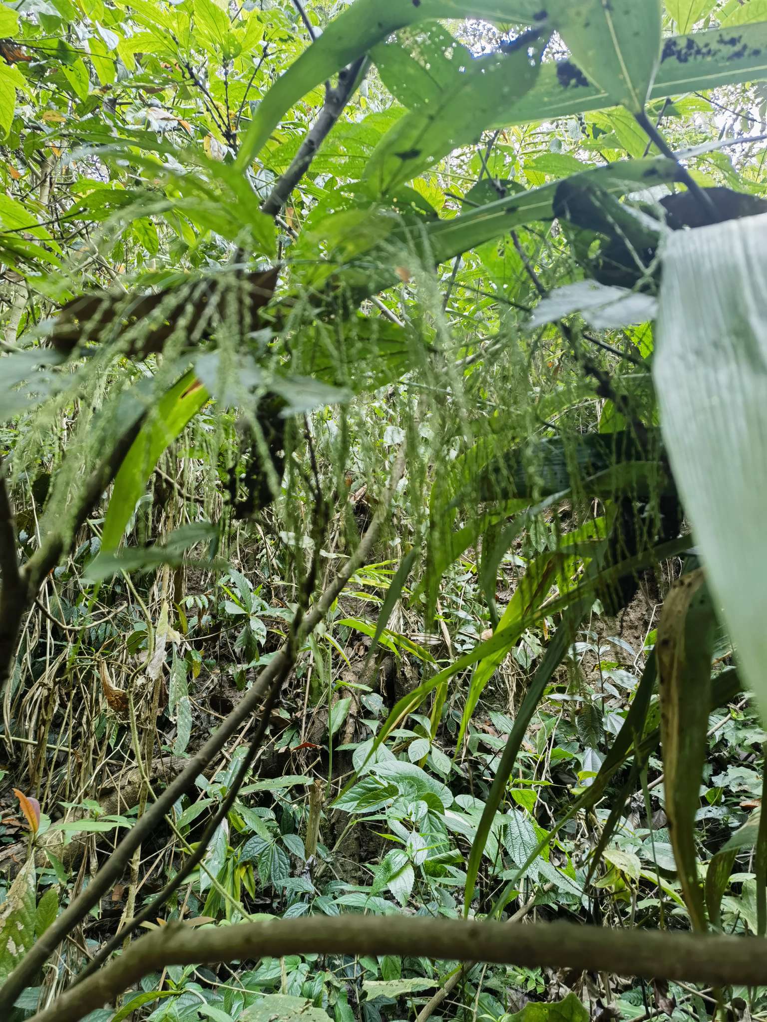 找搭子