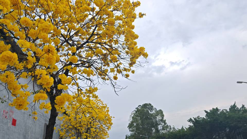 找搭子