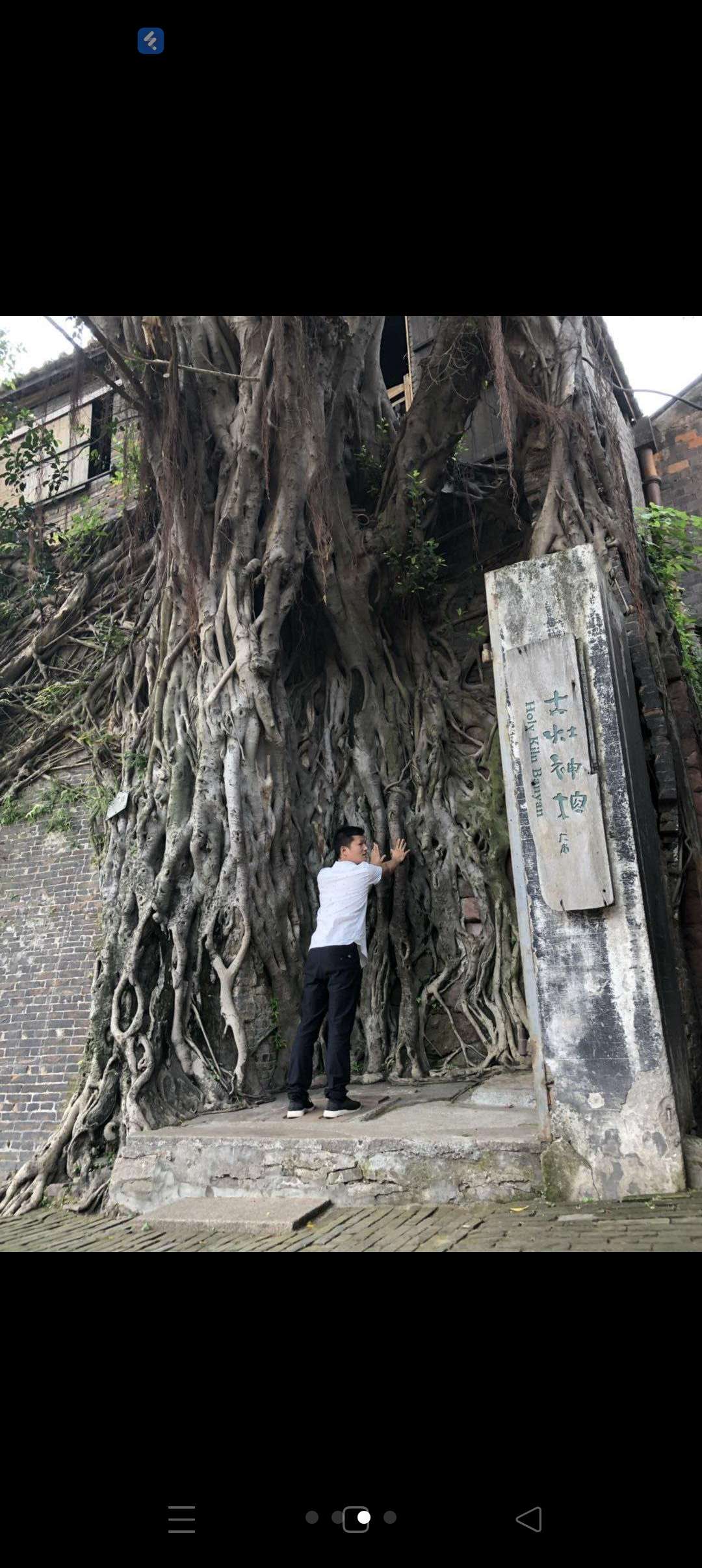 找搭子