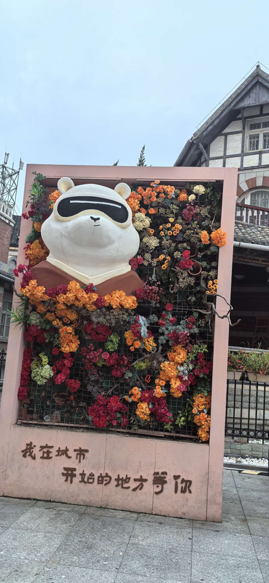 找搭子