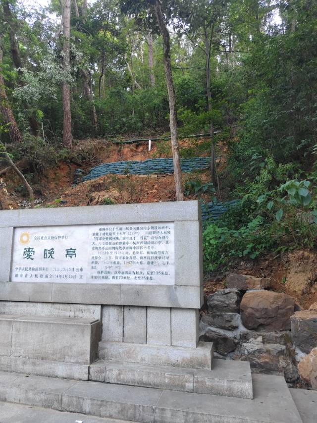 咕哇找搭子