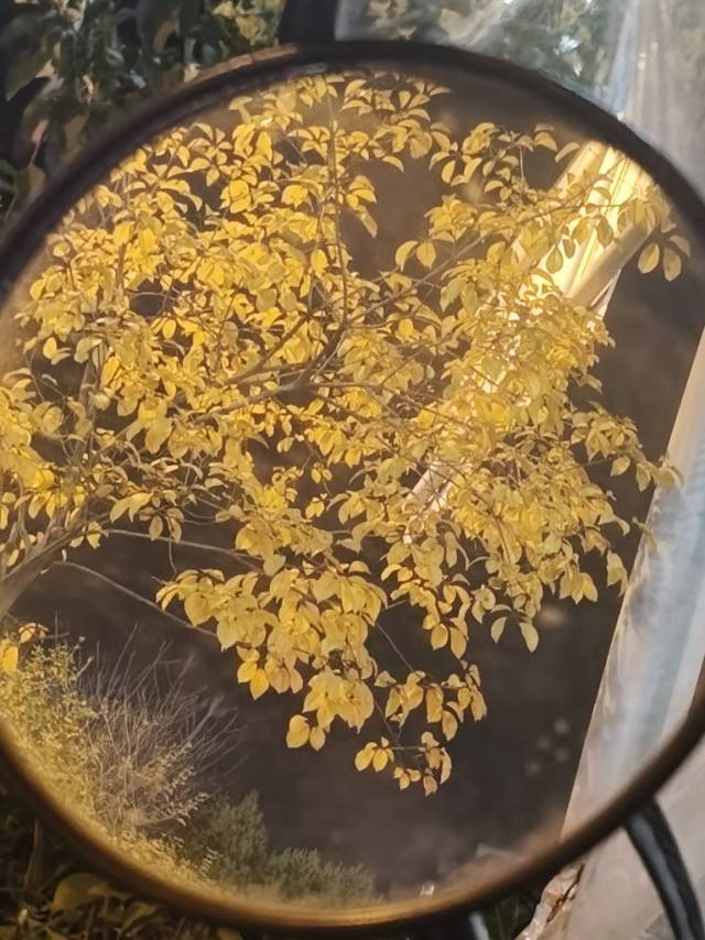 找搭子