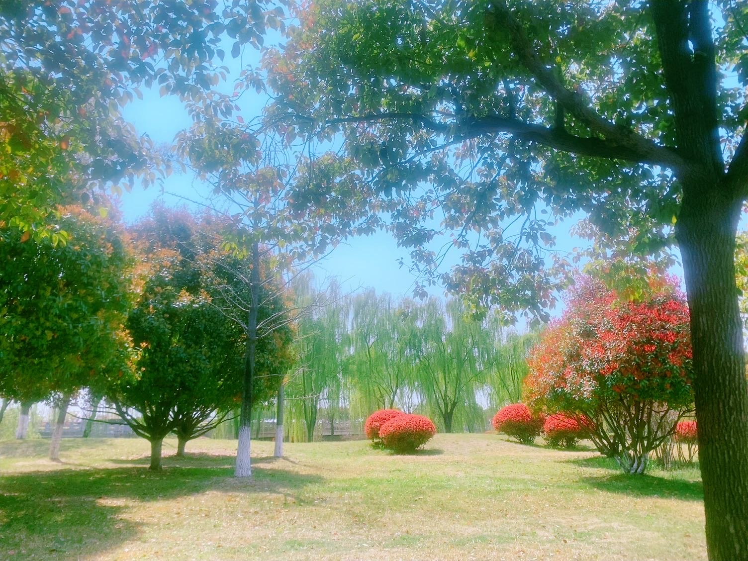 找搭子