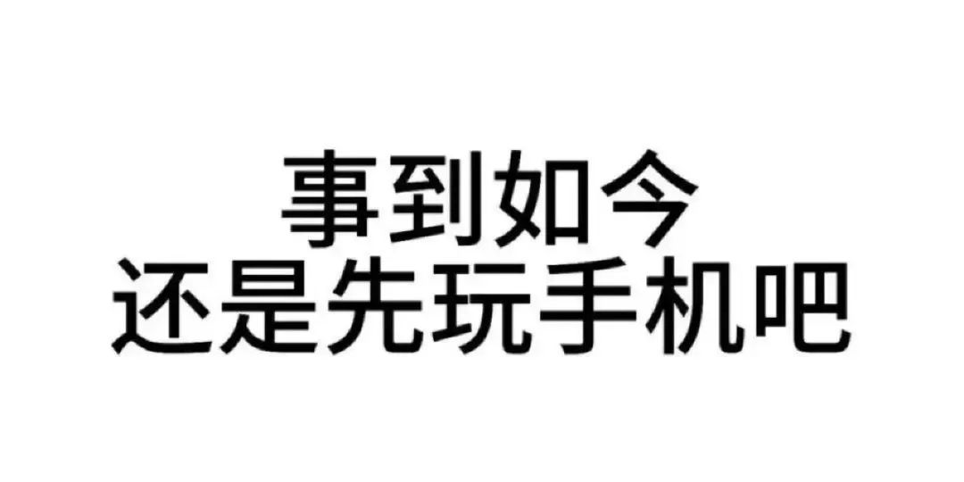 找搭子