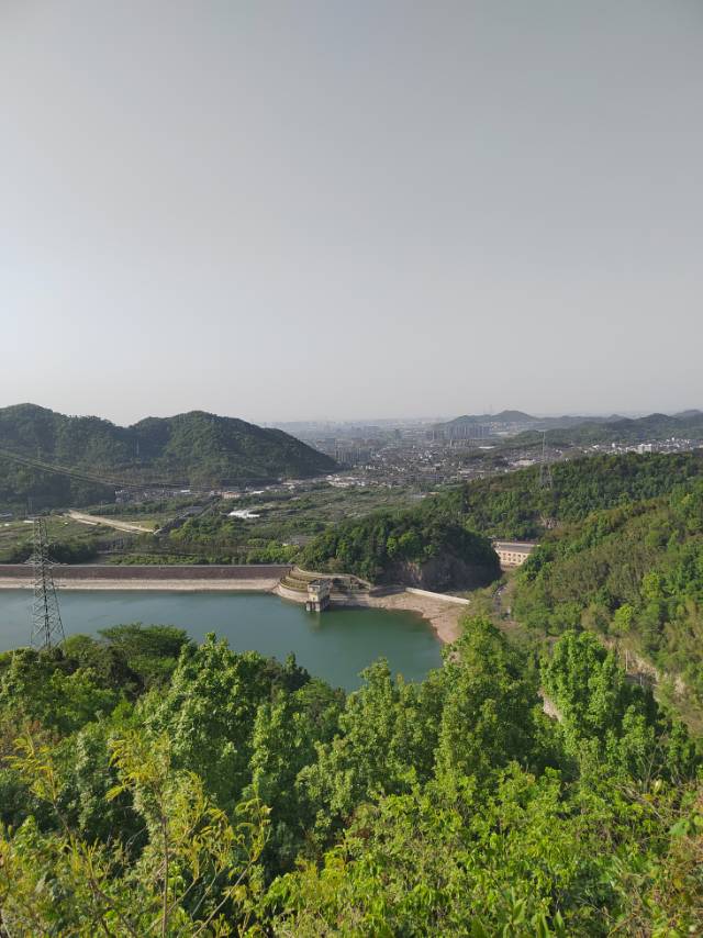 找搭子