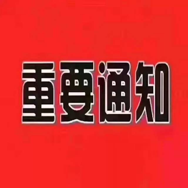 找搭子